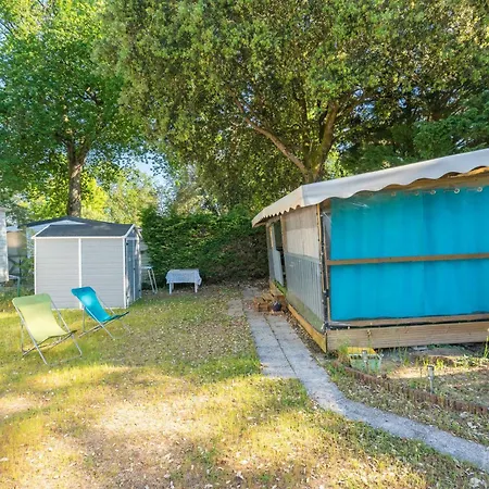 Mh310 Campsite